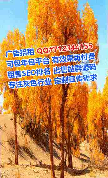 横山卵子储能公司